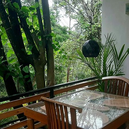 Dhanudi Homestay Ella Bagian luar foto