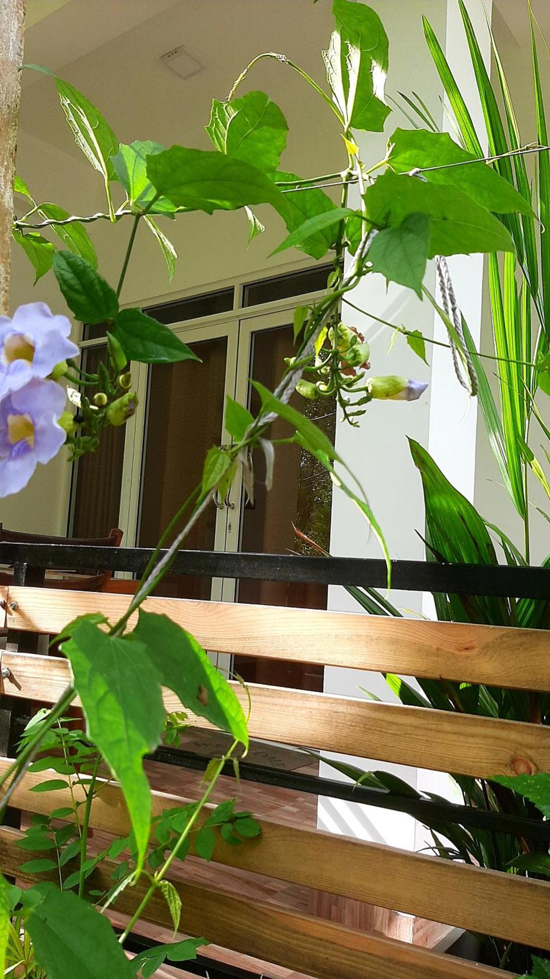 Dhanudi Homestay Ella Bagian luar foto