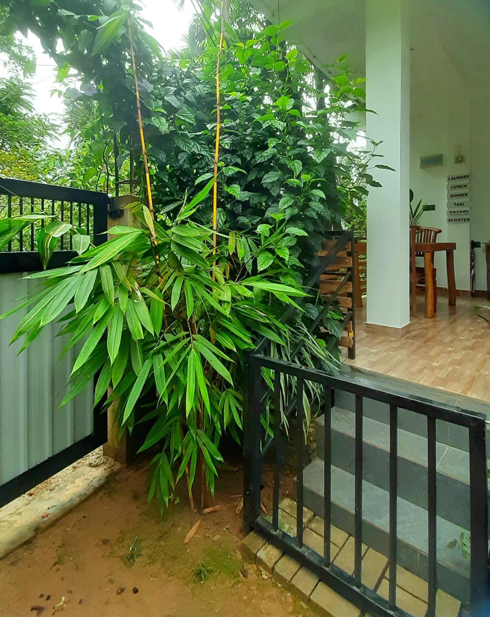Dhanudi Homestay Ella Bagian luar foto