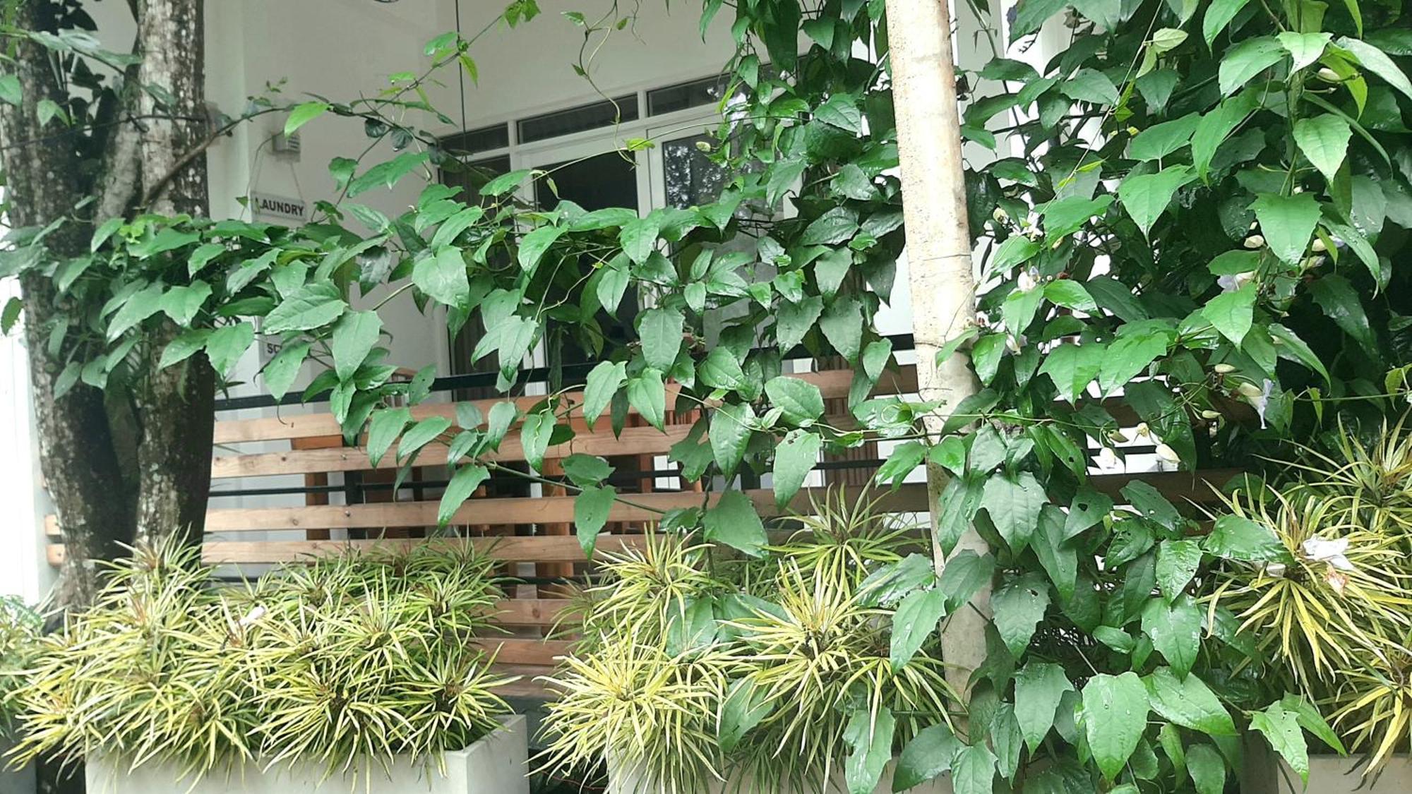 Dhanudi Homestay Ella Bagian luar foto