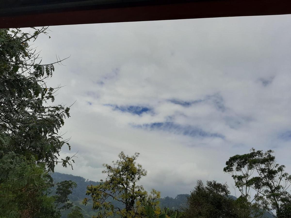 Dhanudi Homestay Ella Bagian luar foto